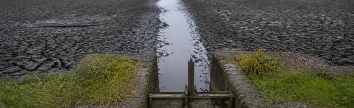 Un étang de la Dombes en cours de vidange, l'eau retirée jusqu'au fossé central et la vase nue jusqu'à la digue de terre