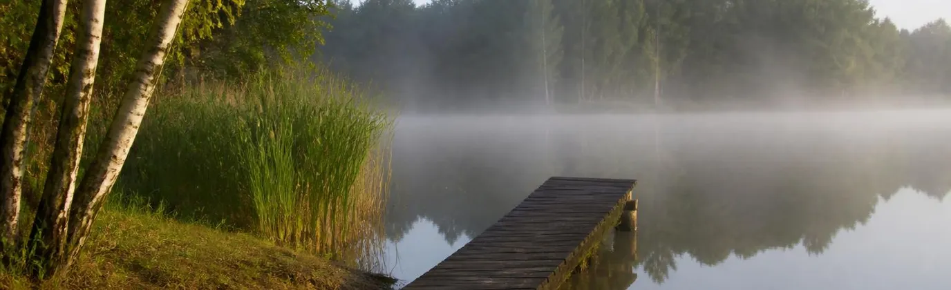 Un étang solognot au petit matin, la brume au ras de l'eau et une berge de sable